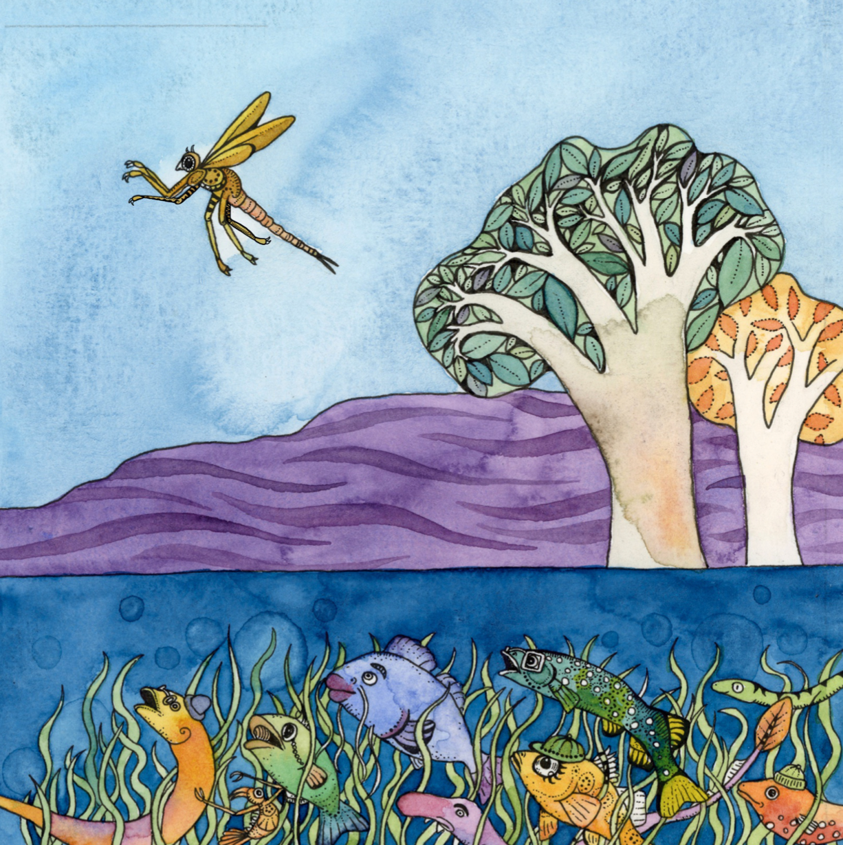 Archie the Archer Fish | Zinia King - A Dose of Whimsy